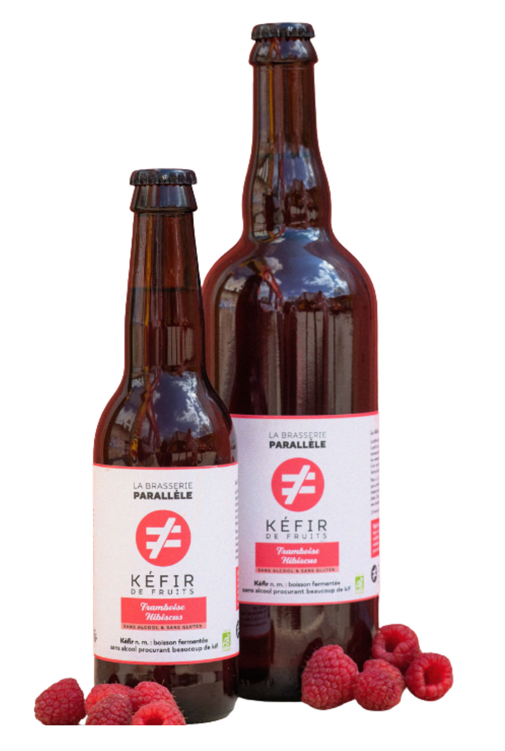 Kéfirs de fruit
