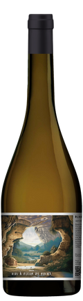 Vivi à fleur de roche, blanc de macération - IGP Périgord